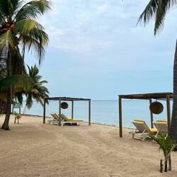 Jaguar Reef Resort 🦋