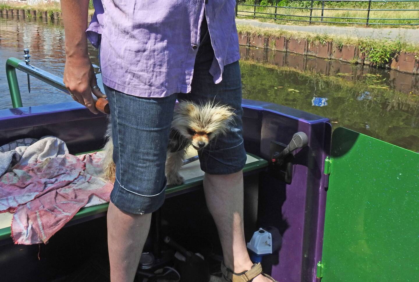 At least poor Leo dried off quickly after his impromtu dip in the canal