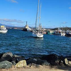 MRNSW Snug Cove