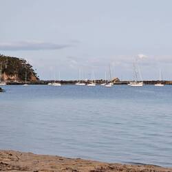 Quarantine Bay
