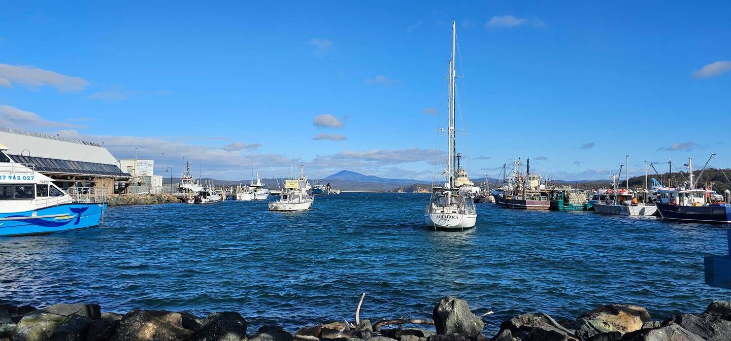 MRNSW Snug Cove