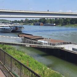 An der Donau, viele Flusskreuzer