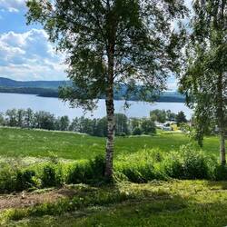 Am Trondheimfjord
