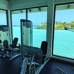 Da trainiert man noch gerner