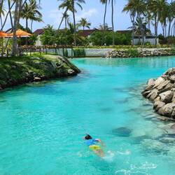 Papa sucht Haie in der Lagune