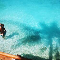 Benny beim Schnorcheln mit Riffhaien