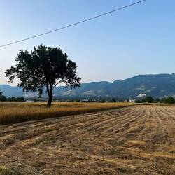 Kulturlandschaft. Ich schlafe auch am feldrand