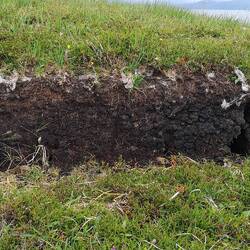 Spuren von Torfstecherei