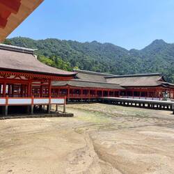 The Shrine & complex at low tide