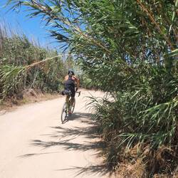 and some sandy roads