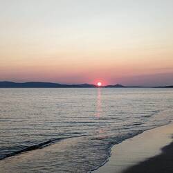 🌅