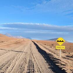 Diese Wellblechpisten sind schrecklich.