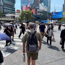 Quiet Shibuya Crossing