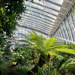 Some of the beautiful gardens