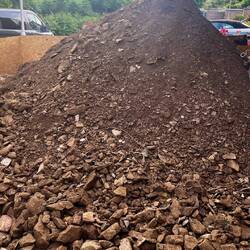 Ausbeute von einem Tag