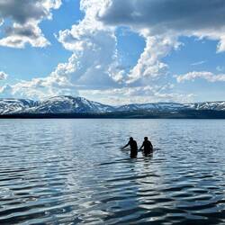 In das eisige Wasser