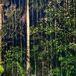 here comes the rain again