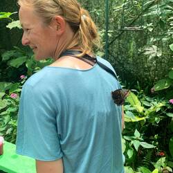 Butterfly first liked my shirt....