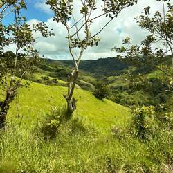 Nach der Bootsfahrt weiter ins Grüne