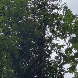 they know how it really goes