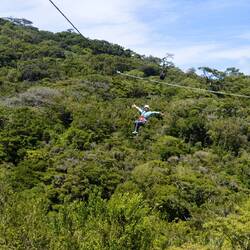last zipline