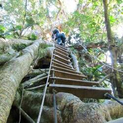 internet: biggest challenge for me. was slow like a sloth 🦥