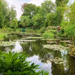 Monet's lily pond