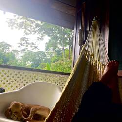 Mittagspfus ide Hängematte begleitet vom Hundi