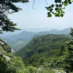 Aus der Richtung kam ich