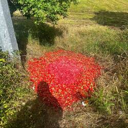 Es roch gut, aber die lagen schon zu lang
