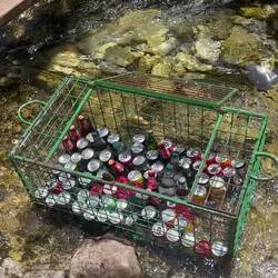 Pas bête la technique