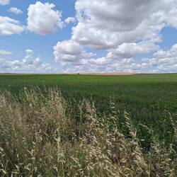 Found the Windows default desktop!