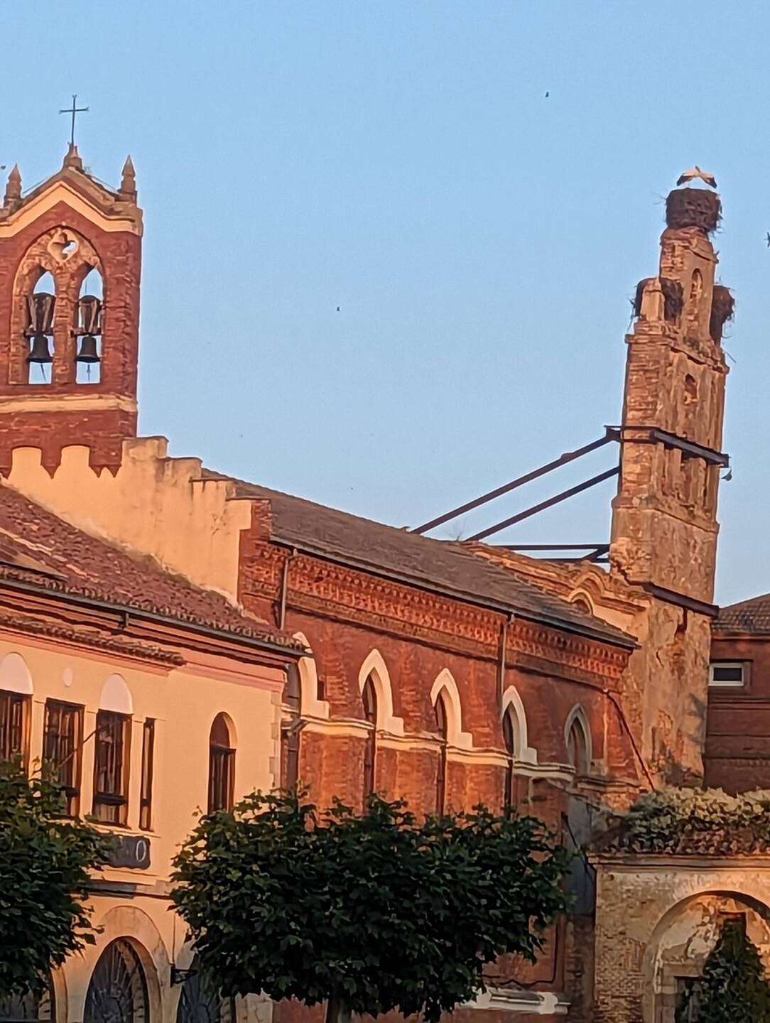 Storks nest on high points all over