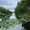 The moat at Hirosaki Castle