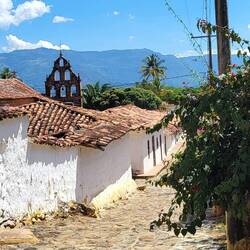 Guane