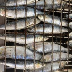 Gegrillte Sardinen