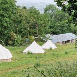 Wernog wood Glamping tents