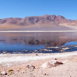 Salar y Laguna de Tara