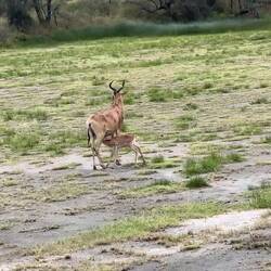Such a cute little baby
