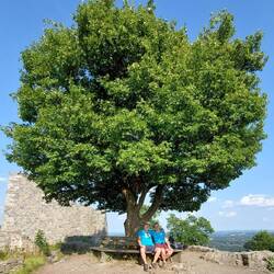 Unser Baum auf unserem Lieblingsberg!