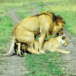 Oh oh private moment