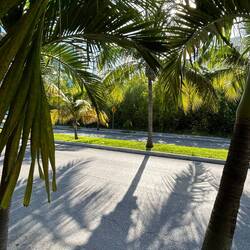 green street in living area