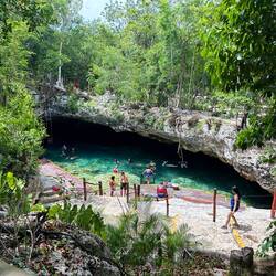 Cenote Mariposa (Schmetterling)