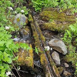 Unsere Wasserquelle 20m entfernt