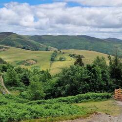 View south back towards Jubilee tower