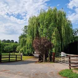 Station House Caravan Park entrance
