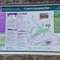 Coed Llangwyfan information board