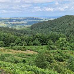 View towards Liverpool
