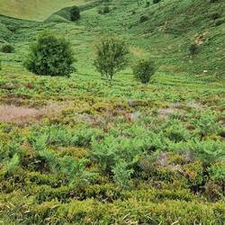 Great contrast between cultivated and wild fields