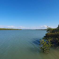The view upstream